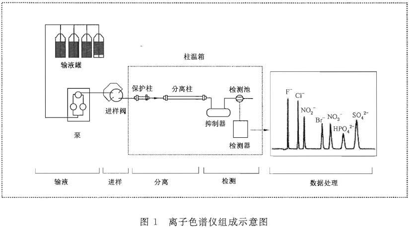 进行定性和定量分析